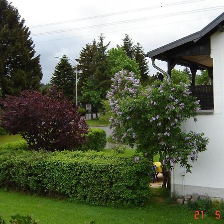 Urlaub Auf Dem Bauernhof Marx Villa Kelberg Exteriör bild